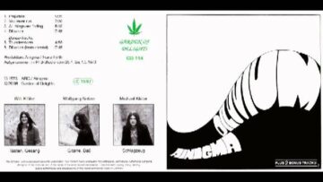 [ID: VNVRV7bGoP0] Youtube Automatic