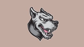 [ID: zRmHG1gTO8Q] Youtube Automatic