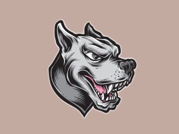 [ID: zRmHG1gTO8Q] Youtube Automatic