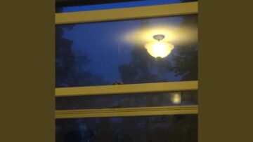 ИΞOlicious – Entropic Cycle