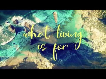 What Living Is For (Promo) | George Collins Band