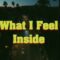 Sam Julian – What I Feel Inside (Official Video)