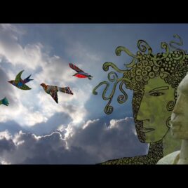 Searching for Paradise