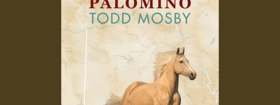 Todd Mosby – Palomino