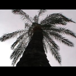 We used to share our secrets