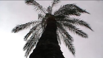 We used to share our secrets