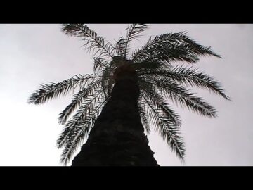 We used to share our secrets