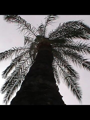 We used to share our secrets