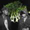 colle$ttye, Wiz Khalifa – BLUNTONOMICS (Official Music Video)