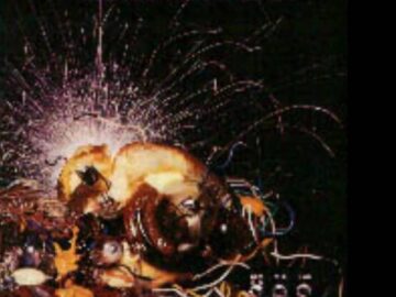 [ID: 2P28rF0nk6M] Youtube Automatic