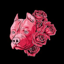 [ID: 78m87sOjqPY] Youtube Automatic