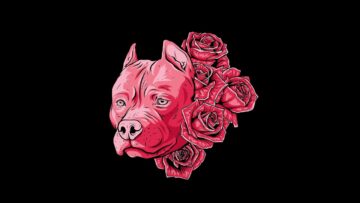 [ID: 78m87sOjqPY] Youtube Automatic