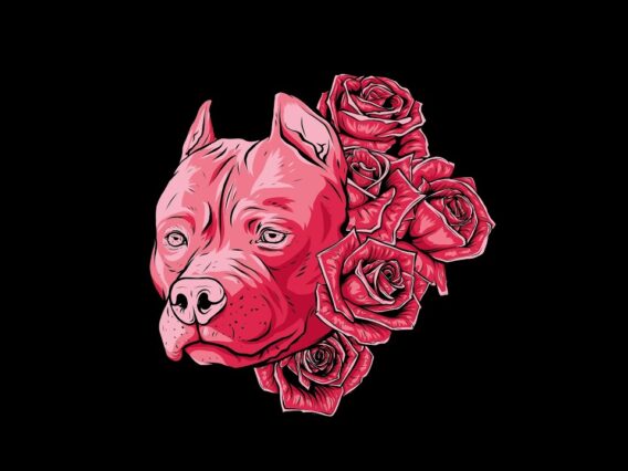 [ID: 78m87sOjqPY] Youtube Automatic