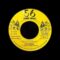 7” Earth Disciples – Peace Love and Harmony (& dub)
