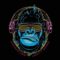 “G-Force” – Hard Boom Bap Freestyle Rap Beat