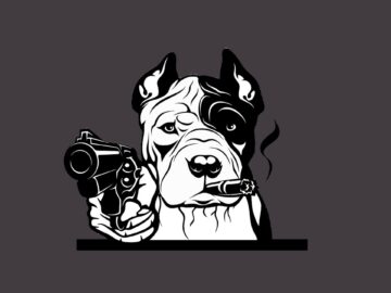 [ID: Gk-1UsZezZ0] Youtube Automatic