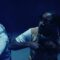 RZ x JSX – BLUEBERRY ( Clip Officiel )