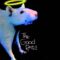 THE GOOD RATS we are the good rats