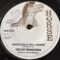 Velvet Shadows – Babylon A Fall Down ++ Dub