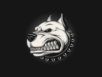 [ID: S6hXns8yZic] Youtube Automatic
