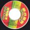 Bob Marley & The Wailers – Ambush + Ambush In Dub