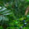 Rainforest Rain Sounds for Sleeping or Studying 🌧️ White Noise Rainstorm 10 Hours