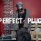 Punk Paparazzi – Dunzo
