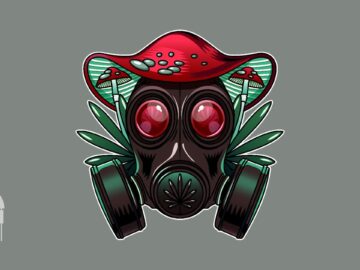 [ID: YQlHY0V0hA8] Youtube Automatic