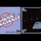 ALPHA CENTAURI  —  Alpha Centauri   — 1977