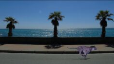 On the boulevard