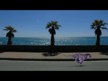 On the boulevard