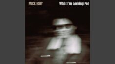 What I’m Looking For | Mick Eddy