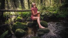 Syren interview – Northern California forest