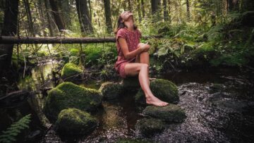 Syren interview – Northern California forest