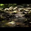 – YouTube