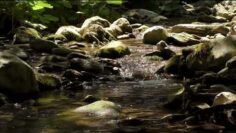 – YouTube