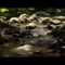 – YouTube