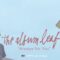 The Album Leaf – Always for You [OFFICIAL VIDEO]