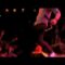 Every Avenue  – “Chasing The Night” Tour Video