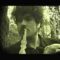 Richard Swift – “Beautifulheart” (Official Video)