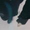 JANOSCH MOLDAU – NOT AT ALL (VISUALISER)