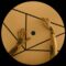 [ID: 4zxLiAyBYSg] Youtube Automatic