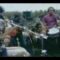 Oxford Collapse – Please Visit Your National Parks (OFFICIAL VIDEO)