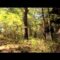 Artist Vs Poet – “Runaway”