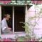 Harlem – “Friendly Ghost” (Official video)
