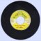7” Roy Dobson – Our Roots Are In Africa & Dub