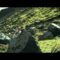 Bon Iver – “Holocene” (Official Video)