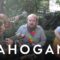 Les Savy Fav – Appetites | Mahogany Session