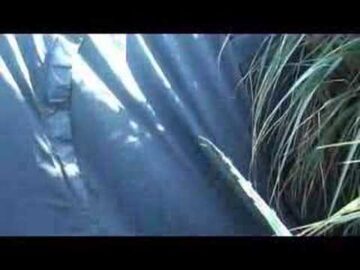 [ID: 9SOU2UO3HqQ] Youtube Automatic