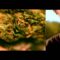 Team Highgrade, “Highgrade” // Music Video